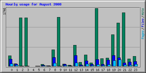Hourly usage for August 2008